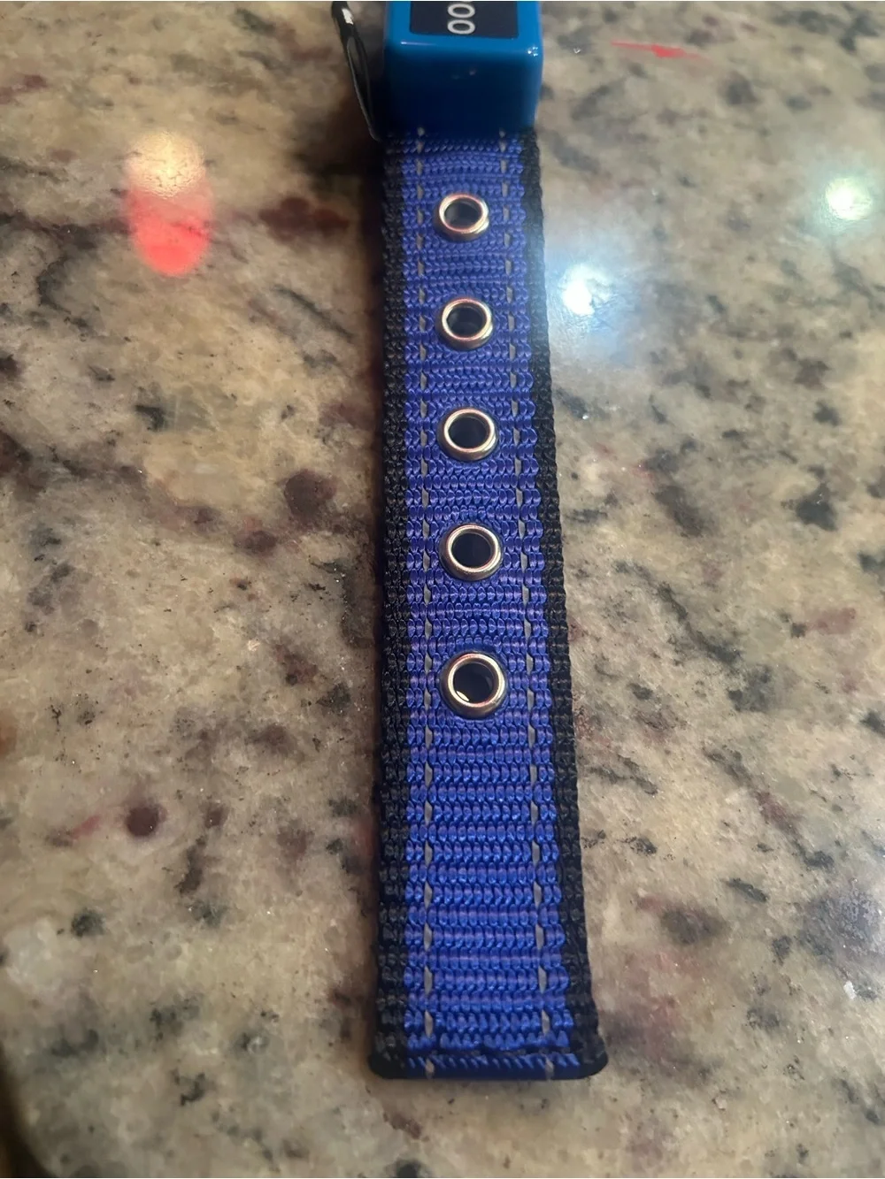 Dogs blue collar with light in size small